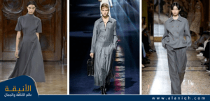 اللون الرمادي