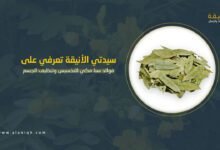 فوائد سنا مكي للتخسيس وتنظيف الجسم
