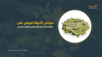 فوائد سنا مكي للتخسيس وتنظيف الجسم