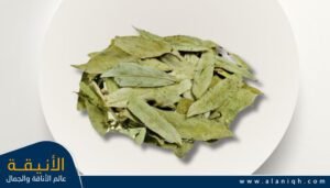 فوائد سنا مكي