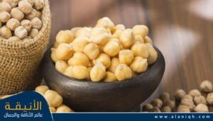 أفضل الأطعمة للمرضعة في رمضان