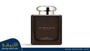عطر Cologne Intense Oud & Bergamot من جو مالون