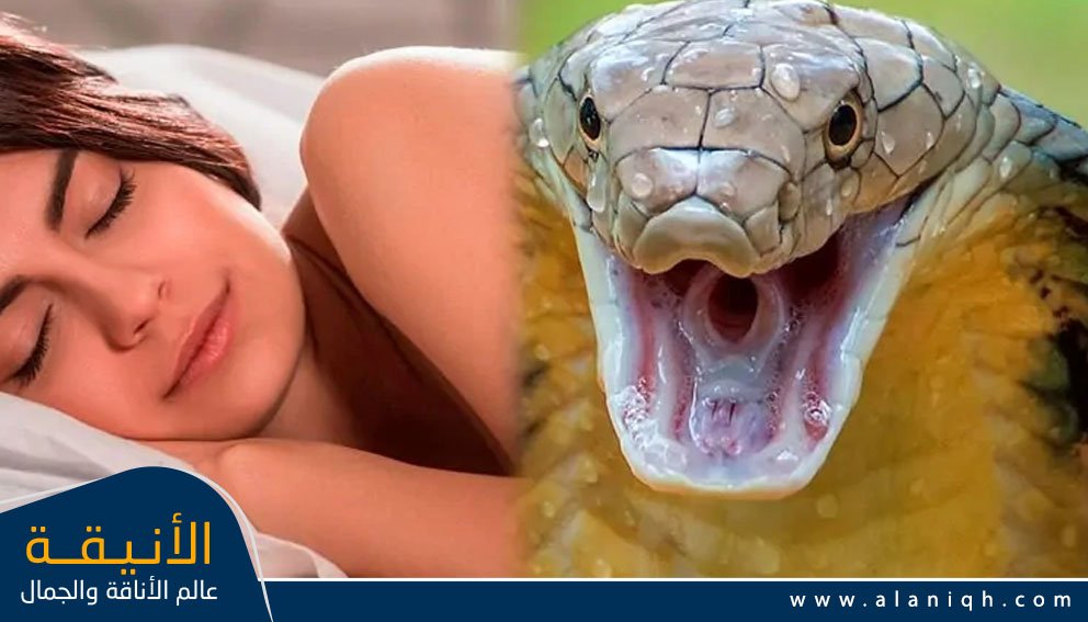 معنى رؤية الثعبان في الحلم