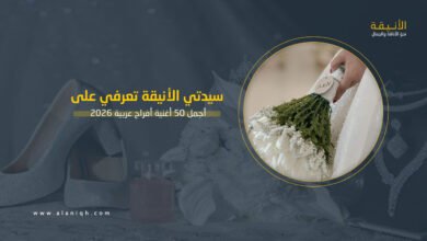 أجمل 50 أغنية أفراح عربية 2026