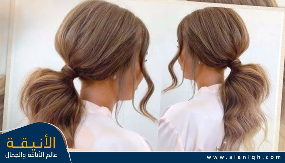 ذيل الحصان المنخفض